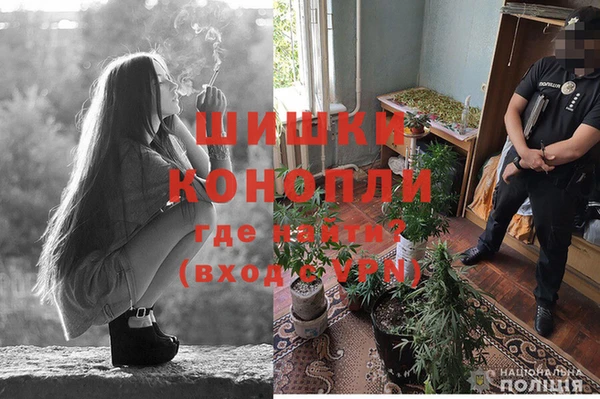 дурь Корсаков