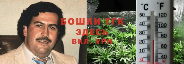 2c-b Костерёво