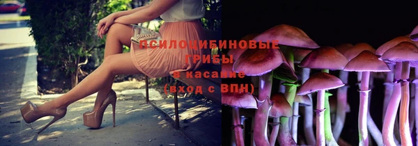 2c-b Козловка