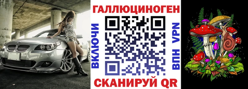 Псилоцибиновые грибы Psilocybe  хочу   Кирсанов 
