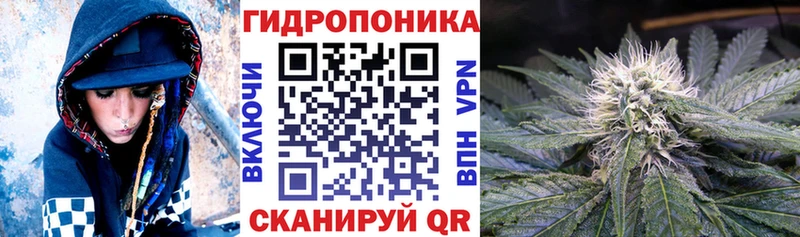 Канабис OG Kush  Кирсанов 
